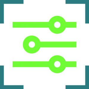 custom-ownershipAssessLarge settings
